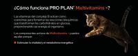 Purina ProPlan Gato Suplemento Multivitaminas 60 gr. Suplemento Multivitaminico para Gatos - Suplementos para Gatos - details 2