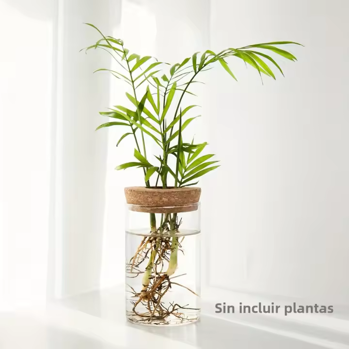 1pc Vaso De Cristal Para Plantas De Esterilidad Decoración De Escritorio Estación De Propagación De Plantas Jarrón De Mesa - 1