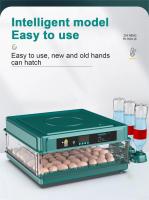 Incubadora de huevos de 9/15 con cajón, Mini incubadora de huevos con reposición automática de cama de agua iónica y control de temperatura - details 2