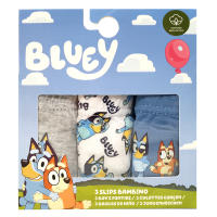 Pack 3 Slip de Niño Bluey, Ropa Interior Niños de 2 a 6 años Bluey y Bingo, Calzoncillos Infantiles 100% Algodón, Regalo Cumpleaños, Navidad, Reyes - details 3