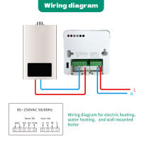 Termostato De Calentador De Agua Wifi Tuya Compatible Con Alexa Y Google Home Control Remoto Para Calefacción Eléctrica Y Gasolina Batería Incluida O Suministro USB - details 17