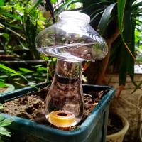 Inserto De Riego En Forma De Amor Automático Sprayer De Riego Para Plantas Dispositivo De Drip De Irrigación Para Flores - details 0