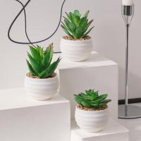 XIYA FLOWER Suculentas De Aloe Vera Artificiales En Estilo Moderno Con Maceta De Plástico Blanco Para Decoración Del Hogar Material PE - details 1
