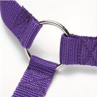 Cinturón De Seguridad Para Perro Para Coche De Nylon Duradero Ajustable Para Pequeños Y Grandes Perros Línea De Viaje Seguro Para Puppies - details 7