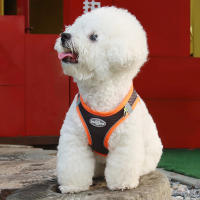Juego De Arnés Y Correa Para Perros Pequeños Ajustable Para Puppies Gatos French Bulldog Chihuahua Pug Caminar Al Aire Libre Lead Correa - details 4