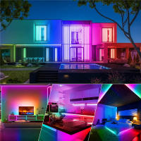 Tira De LED Neón RGBIC 1M 2M 3M 5M 10M 12V Impermeable Luz De Colores Completos Sincronización De Música Decoración Para Habitación De Juegos Y Sala De Estar - details 7