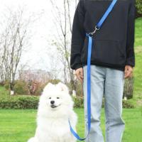 Correa De Nylon Para Perros Pequeños 2.5cm Estilo Policía Control De Mano Libre Para Caminar Y Entrenamiento Seguridad De Cadena Para Mascotas - details 5