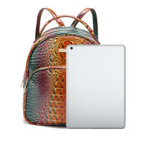 Mochila De Lujo Con Patrón De Cocodrilo Vintage Viaje Clásico Preppy Escuela Mochila De Día Para Mujer Material PU - details 5