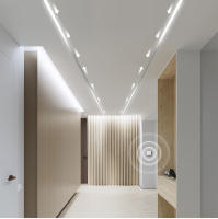 Tira De LED WS2811 10m/Roll Con 120 LEDs/M 24V DC Flujo De Agua Corriente Luz Flexible Pixel Direccional Para Jardín - details 8