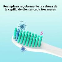 Cabezales De Repuesto Para Cepillo De Dientes Eléctrico Philips HX3/6/9 Serie DuPont Cerdas Suaves 4pack/8pack Limpieza Suave Para Adultos - details 5