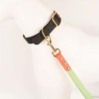 Correa Para Perros Grandes TOCKFIT 33CM Correa De PVC Impermeable Para Caminatas Y Entrenamiento De Mascotas Multicolor - details 5