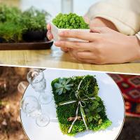 Plantas Artificiales De Hierba De Mostrador Para Decoración De Hogar Y Habitaciones Mini Landscape Falso Grama 20/40/100g Para DIY Crafts Y Jardín - details 9