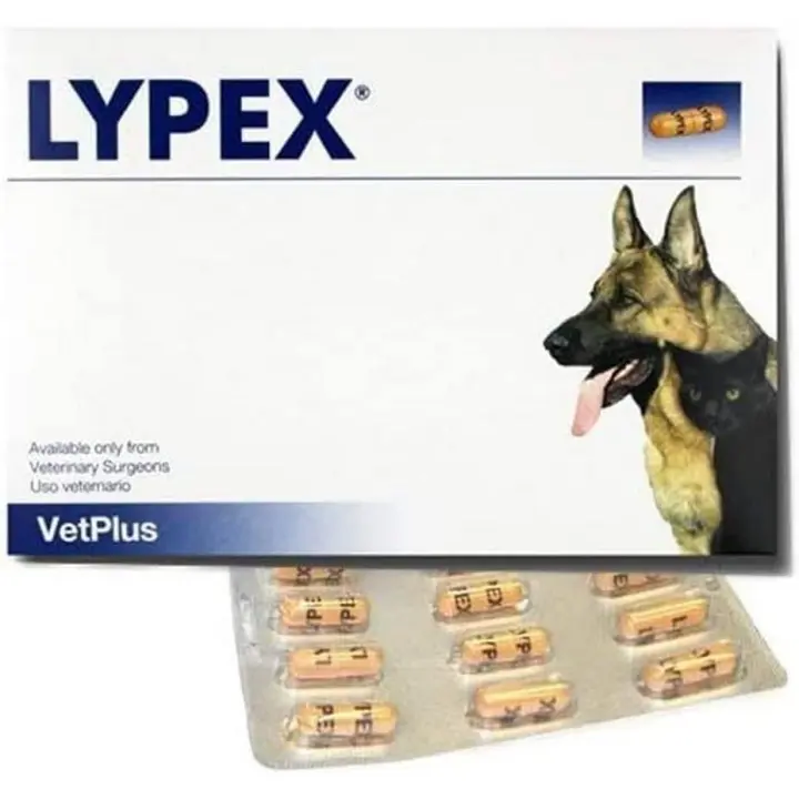 LYPEX ALIMENTO COMPLEMENTARIO PARA PERROS 60 COMPRIMIDOS - 1