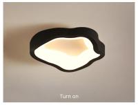 Lámpara De Techo Minimalista LED Para Entrada Pasillo Y Balcones Iluminación Interior Creativa En Acrílico Luz De Ambiente Doméstico Moderna Y Eficiente - details 7