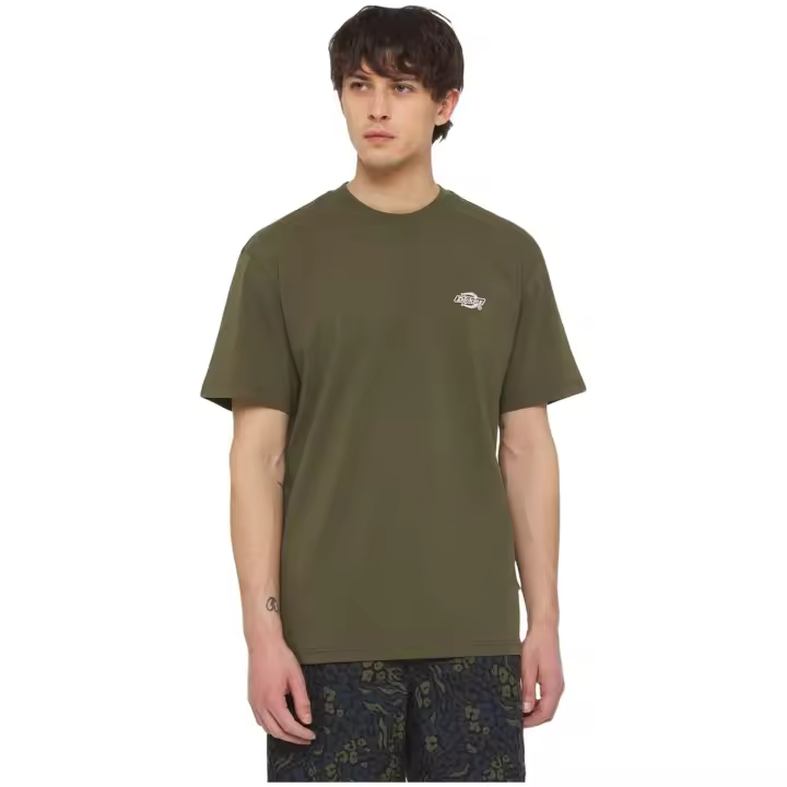 Textil Lifestyle marca Dickies modelo Dk0A4Yaimgr1 para hombre en color verde - 1