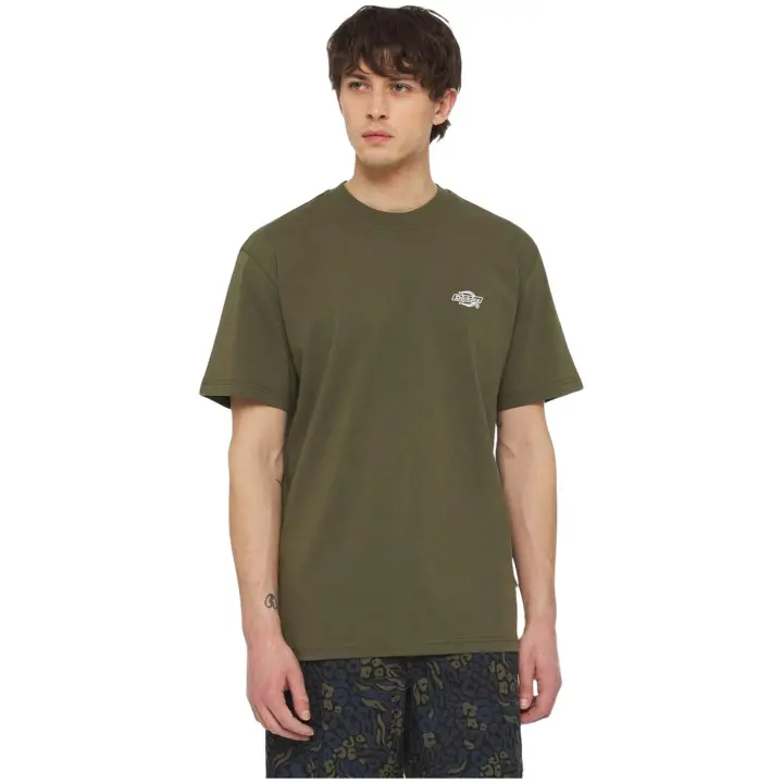 Textil Lifestyle marca Dickies modelo Dk0A4Yaimgr1 para hombre en color verde - 1