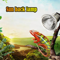 Bombilla De Calentamiento Para Reptiles UVA+UVB 25/50/75W Luz De Bañado Para Tortugas Y Amfibios Controlador De Temperatura Para Lámparas De Calefacción - details 6