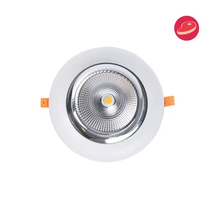Barcelona LED Downlight LED especial para carnicerías - 44W - Driver Philips - Corte Ø210 mm - 1