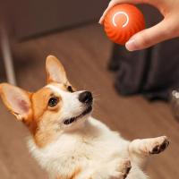 Juguete Inteligente Para Perros Y Gatos Bola Eléctrica Recargable Por USB Juguete De Diversion Automático Para Animales De Compañía - details 4
