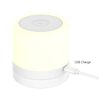 Lámpara Nocturna RGB Para Camping Y Dormitorio Con Control Remoto Y Táctil Luz De Ambiente Para Cama Y Tienda De Campaña Cambio De Color - details 5