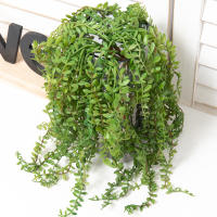 45cm De Altura Suculentas Artificiales Colgantes Para Pared Vine Rattan Ramas Verdes Decoración De Hogar Para Bodas Y Salón Garrafa - details 4