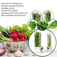 Contenedor De Almacenamiento Para Hierbas KAURIJIA Ecológico Plástico Capacidad 250ml Guarda Frescura De Cilantro Menta Parsley Y Asparagus En Cocina - details 4