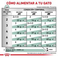 12 X 85g - Royal Canin Veterinary Diabetic  Alimento completo dietético para gatos  Para regular el aporte de glucosa  Con trocitos finos en salsa  Alto contenido en proteínas - details 5