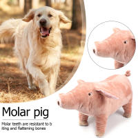 Juguete De Peluche Para Perros Y Gatos Almohadilla De Sueño Companion Mordedor De Algodón Para Pequeños Perros Bulldog Francés Divertido Juguete Para Moler Y Jugar - details 2