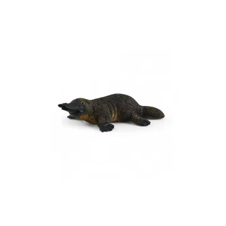 Figura Ornitorrinco Schleich Wild Life Ovíparo Australia Juguete Educativo - 1