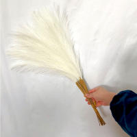 10Pcs 55cm Mini Pampas Sintética Hierba Artificial Planta Falsa Rama De Juncos Para Decoración De Hogar Sala De Estar Cocina Bodas Estilo Boho - details 7