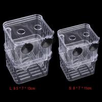 Incubador De Acuario Multifuncional Para Crecimiento De Peces Transparente 1L Con Doble Capacidad Para Guppies Y Reproducción De Peces - details 13