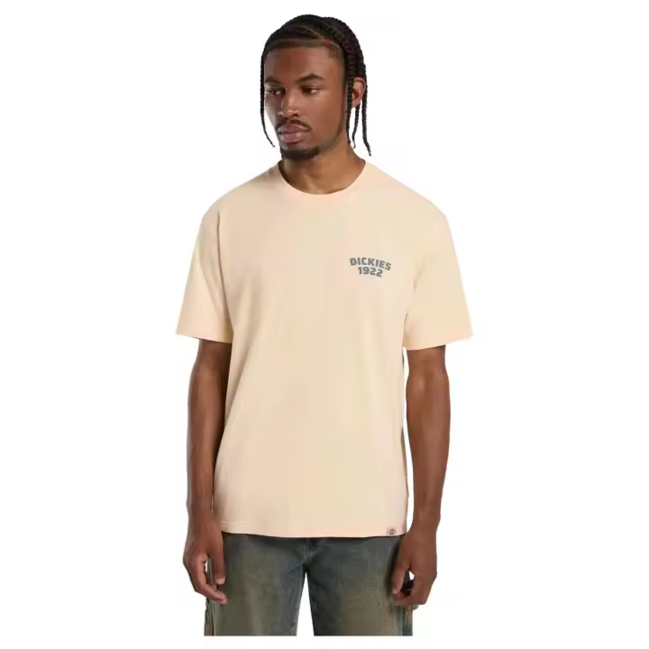 Textil Lifestyle marca Dickies modelo Dk0A4Z96K531 para hombre en color - 1