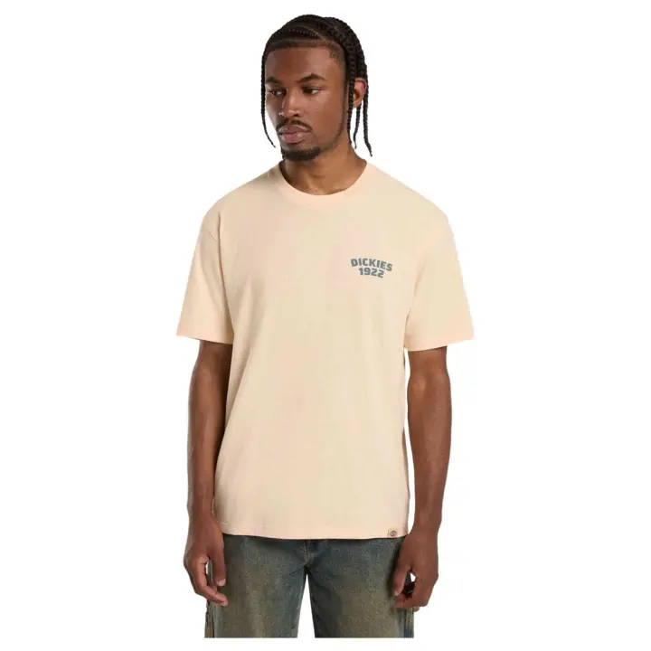 Textil Lifestyle marca Dickies modelo Dk0A4Z96K531 para hombre en color beig - 1