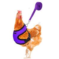 Harnés Ajustable Para Perros Pequeños Y Pollos Con Correa Cómodo Transpirable Chaleco Para Entrenamiento De Mascotas Como Pato Ganso Y Pollo - details 4