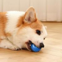 Juguete Inteligente Para Perros Y Gatos Bola Eléctrica Recargable Por USB Juguete De Diversion Automático Para Animales De Compañía - details 8