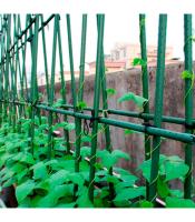 Tutor de arboles con punta de hierro plastificado 1,5mx20mm - Pack de 50uds - Tutor para árboles y plantas de alta resistencia y durabilidad con interior de acero, plastificado en verde y macizo en las puntas. Color Verde - details 2