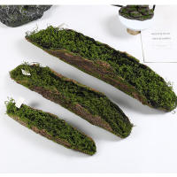 Bloques De Molusco Para Plantación De Hierba Falso De Madera Verde Para Decoración De Jardín DIY Estilo Bonsái - details 3