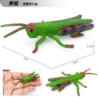 Juego De 12 Figuras De Animales Miniatura Insectos Y Reptiles Educativo Para Niños Juguetes De Halloween Escarabajo Mantis Cicada Lurio - details 12