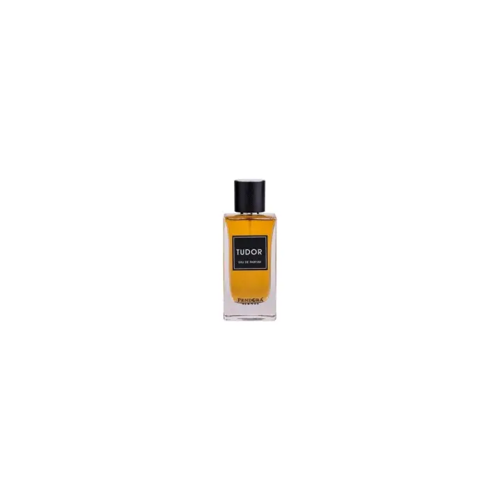 Pendora Scents Tudor Eau de Parfum 100ml para Hombre - 1