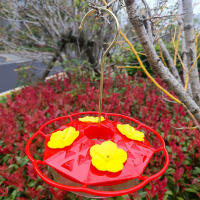 Alimentador de colibrí con gancho, colores brillantes, colgante, para alimentación de pájaros salvajes de exterior - details 1