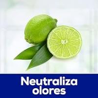 Mistol Profesional 4 litros gel lavaplatos lavavajillas olor y color original - details 4