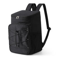Mochila térmica de papel de aluminio con aislamiento para acampar, bolsa enfriadora de 18L para acampar, Ar livre - details 7