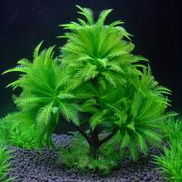 Decoración De Acuario Árbol De Coco De Plástico Y Algas Simuladas Para Jaula De Peces Ornamentos Acuáticos De Simulación - details 2