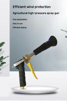 Pistola De Rociado De Alta Presión Con Carpa Efecto De Atomización Bueno Herramienta De Jardín Para Rociado De Pesticidas Y Riego - details 0