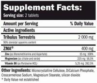 Tribu-ZMA 90 Tabletas | Mezcla de Tribulus Terrestris, Zinc y Magnesio | AMIX™ - details 2