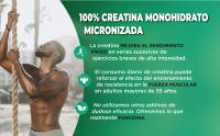 FOODELIS Creatina Monohidratada en Polvo Micronizada  500GR  166 Dosis  Sin Sabor  No-gmo  Incluye Dosificador  Alta solubilidad  Vegano  Sin Lactosa - details 2