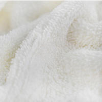 Parches De Mopa De Vapor Para Bissell PowerFresh Serie 1806 1940 1544 1440 Parte De Repuesto Modelo # 5938 # 203-2633 - details 2