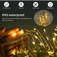Guirnalda Decorativa De Luces De Navidad LED 24V Impermeable Para Exterior Con Hilo De Cobre Fairy Lights Para Boda Jardín Calle Césped - details 4