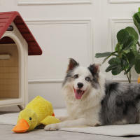 Juguete De Dormir Para Perros HOOPET Con Silbido Y Aroma a Pato Juguetón Para Pequeños Medianos Y Grandes Interactivo Para Entrenamiento De Mascotas Accesorios Para Perros - details 3