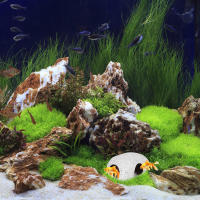 Cueva De Escondite Para Caracoles En Acuario Decoración De Tanque De Peces Casa De Acuario Material Duradero Tamaño Ajustable - details 5